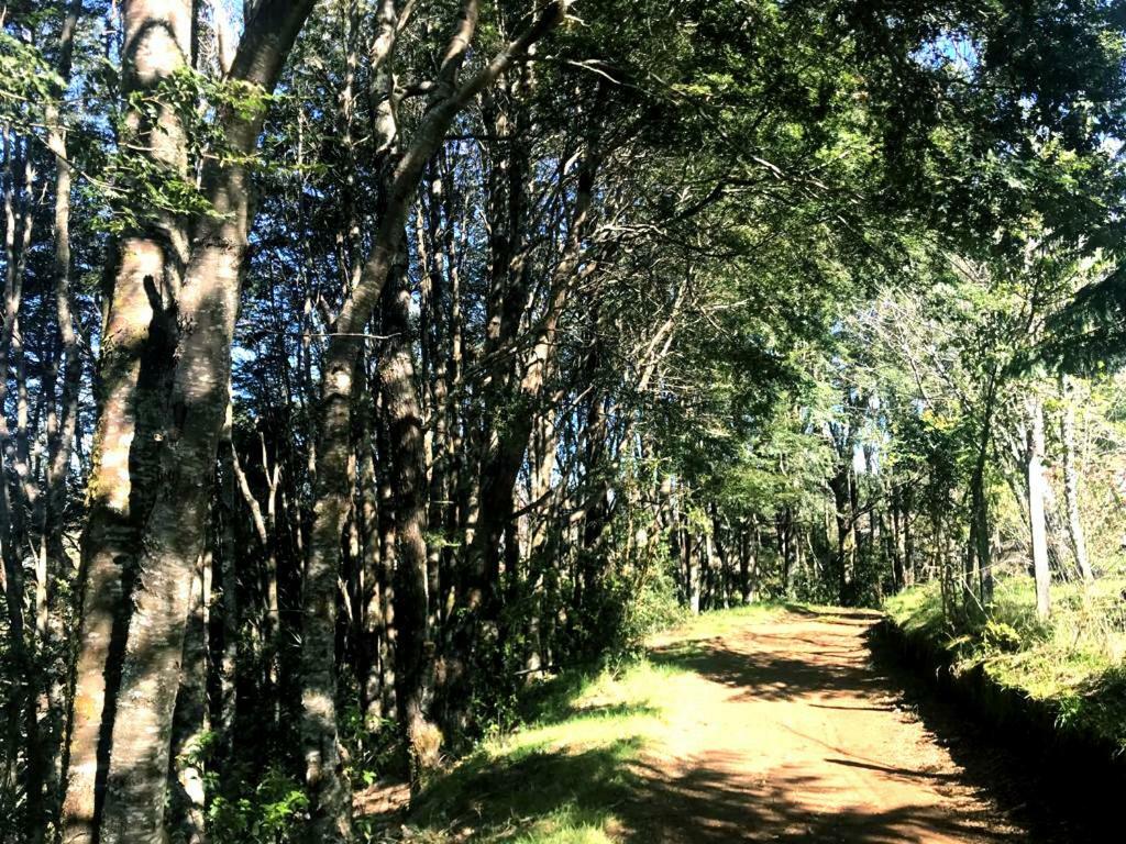 Hostel Isla Del Rey バルジビア エクステリア 写真